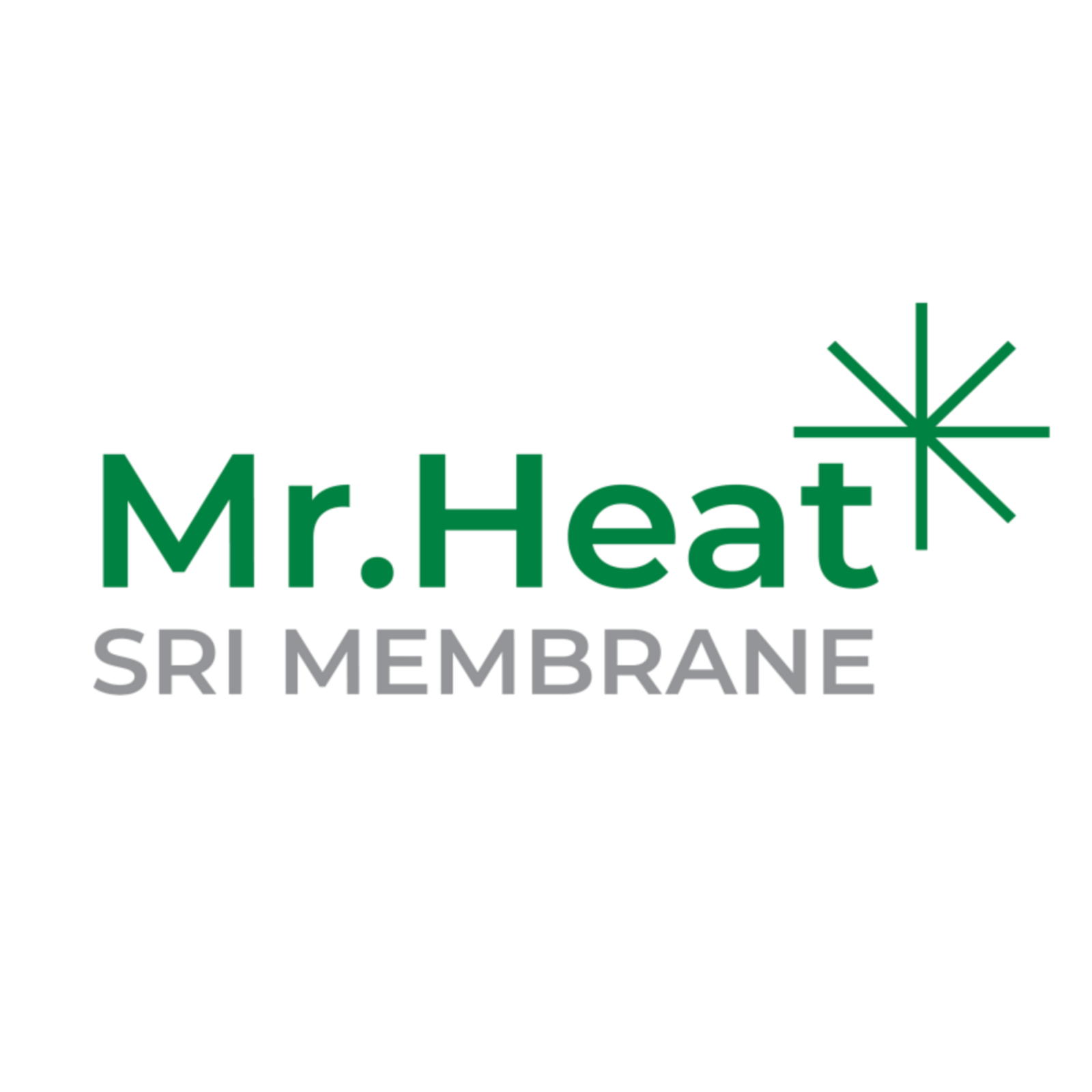 Mr Heat
